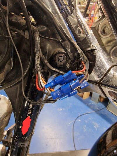 20260305_124535 (1).jpg