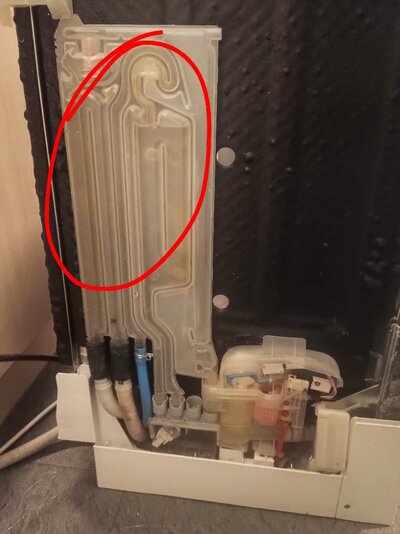 IMG_20260307_184427982 (1).jpg