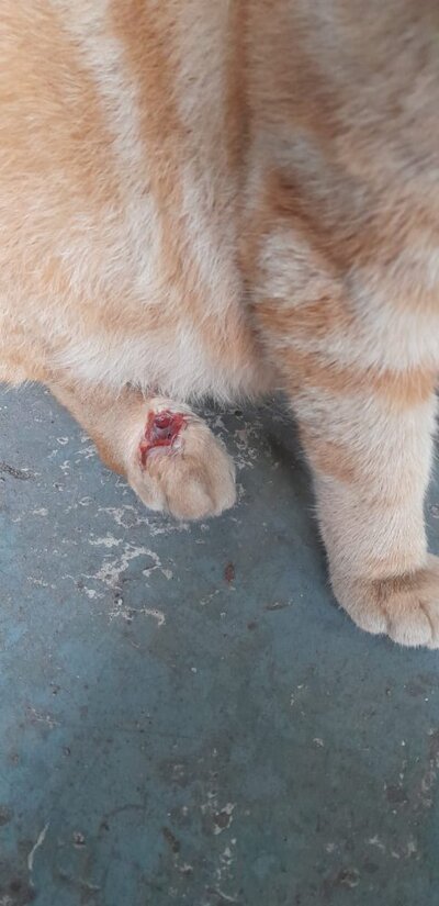 WhatsApp Image 2026-03-13 at 11.21.40.jpeg