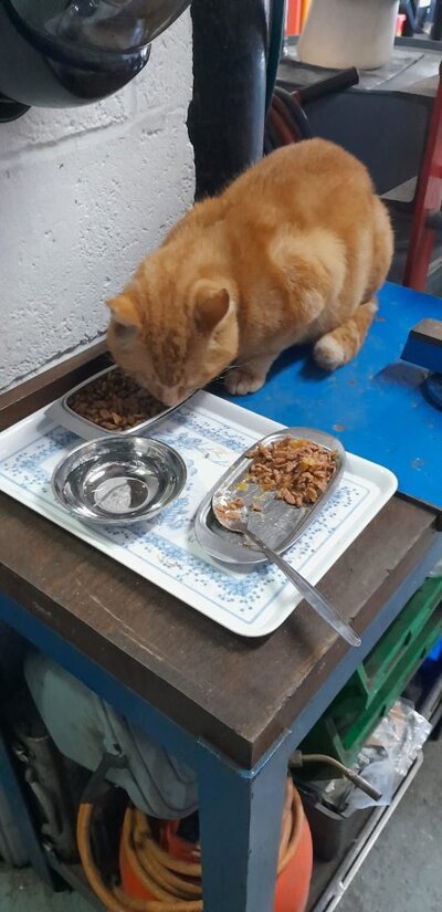 WhatsApp Image 2026-03-14 at 14.37.03 (1).jpeg