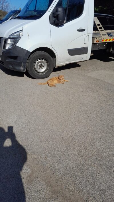 WhatsApp Image 2026-03-14 at 14.37.03.jpeg