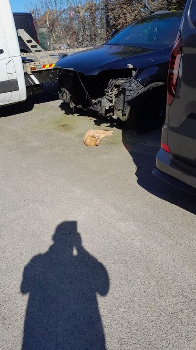 WhatsApp Image 2026-03-18 at 12.28.58.jpeg