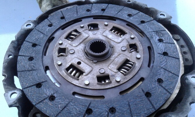 20260319_175611.jpg 20260319_175611.jpg