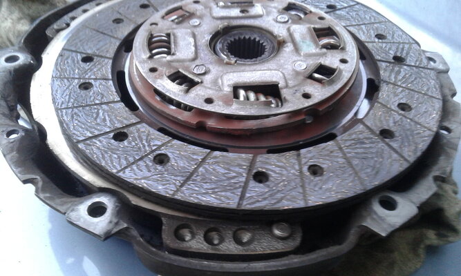 20260319_175634.jpg 20260319_175634.jpg