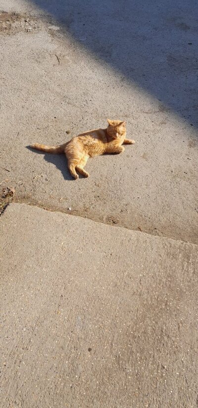 WhatsApp Image 2026-03-20 at 17.07.33.jpeg