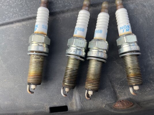 IMG_0374.jpeg IMG_0374.jpeg