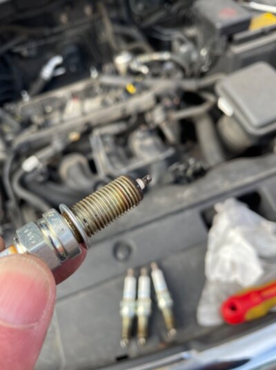 IMG_0376.jpeg IMG_0376.jpeg