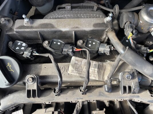 IMG_0377.jpeg IMG_0377.jpeg