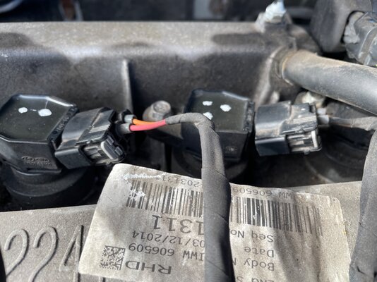 IMG_0378.jpeg IMG_0378.jpeg