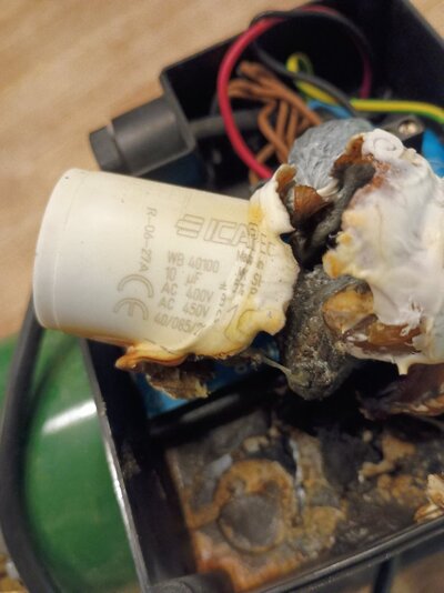 IMG_20260302_191952339.jpg IMG_20260302_191952339.jpg