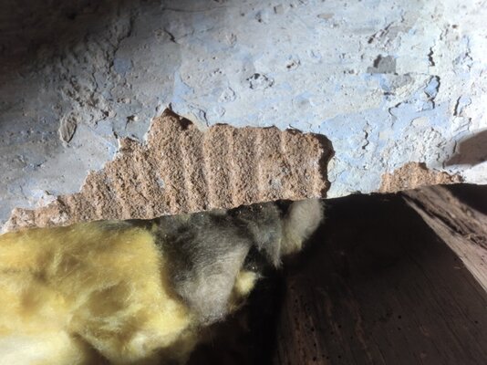 IMG_20260403_124404_179.jpg IMG_20260403_124404_179.jpg