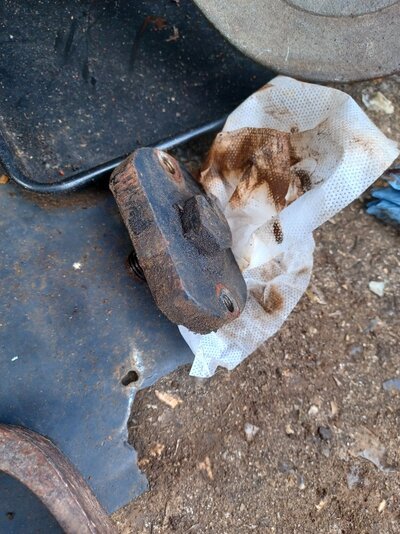 20260413_164531.jpg 20260413_164531.jpg