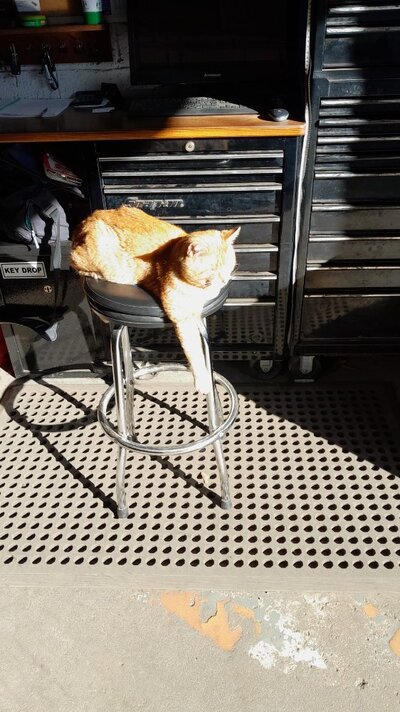 WhatsApp Image 2026-04-14 at 08.48.09.jpeg