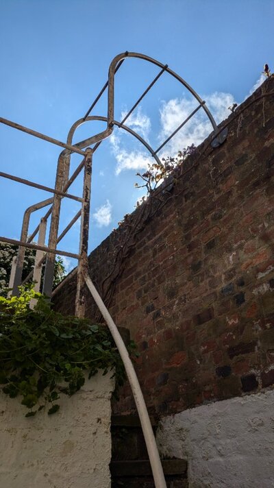 PXL_20260415_142328267.MP.jpg PXL_20260415_142328267.MP.jpg