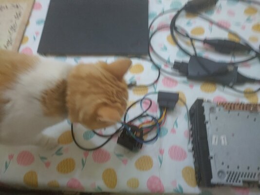 latest_session_prep_QC_inspection.jpg