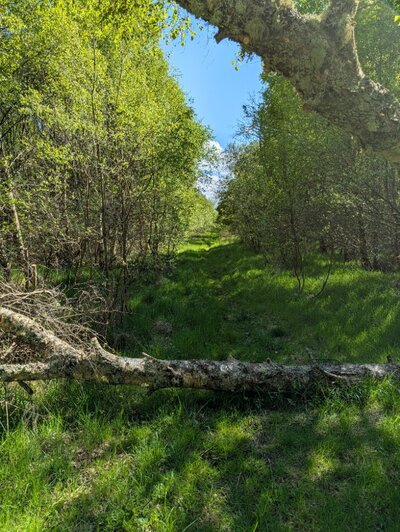 PXL_20260504_141944244.jpg