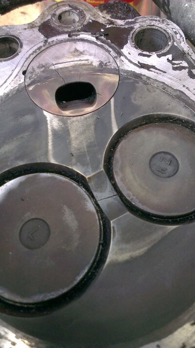 IMAG0445.jpg