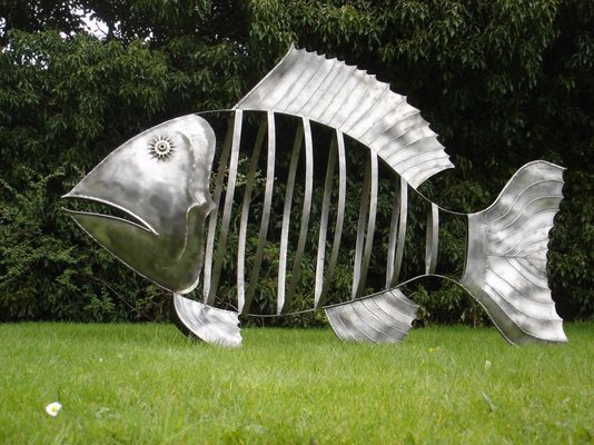 Sunfish 015.jpg
