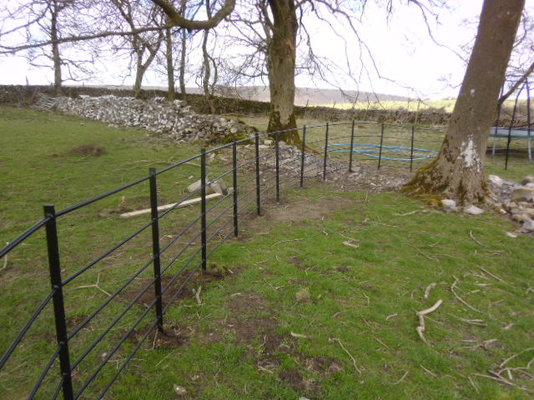 P1000590.JPG