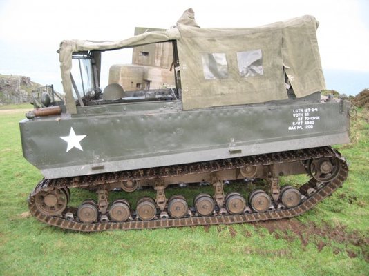 Weasel Pics Jay and James 035.jpg