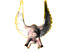 1pigflygif.gif