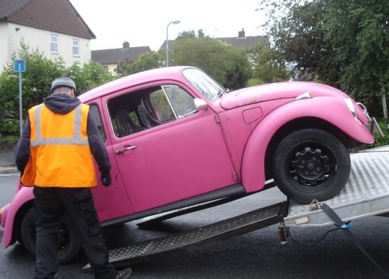 vw beetle pink lady 006.JPG
