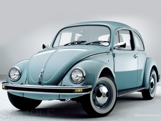 beetle.jpg