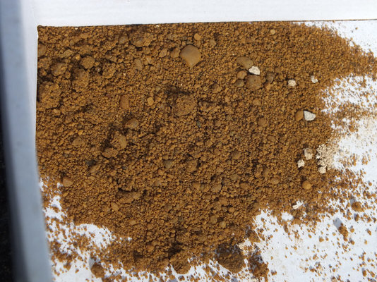 lb-sand.jpg