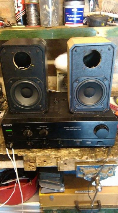 Sexy Sony amp.jpg