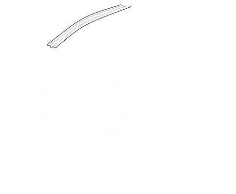 rib.jpg
