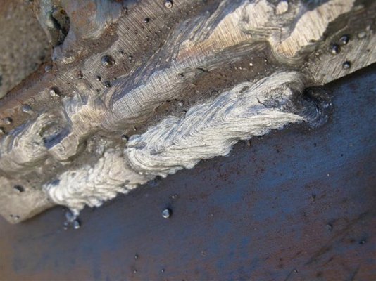 IMG_2310 (Medium).jpg