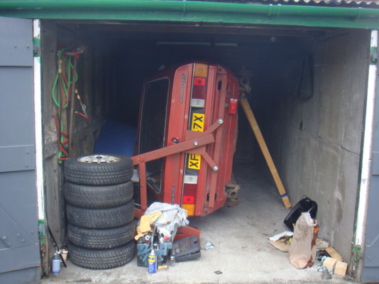 michelles cat fotos7.JPG