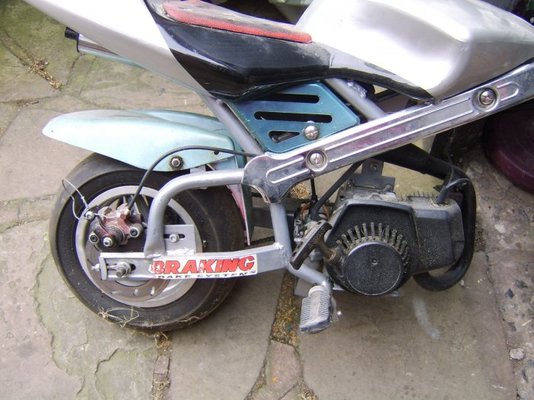 STA70468.jpg