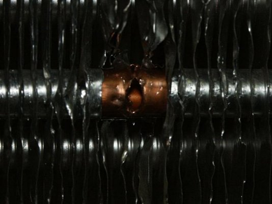 PICT0519 (Medium).jpg