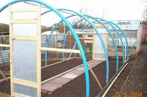 polytunnel.jpg
