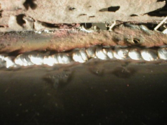 P1010094.jpg