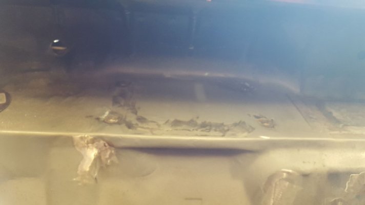 12694905_1719964544927820_216871335884909021_o.jpg 12694905_1719964544927820_216871335884909021_o.jpg