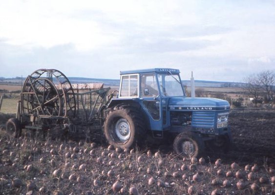 David W Thomas turnip harvester_Feb 1977_1.jpg