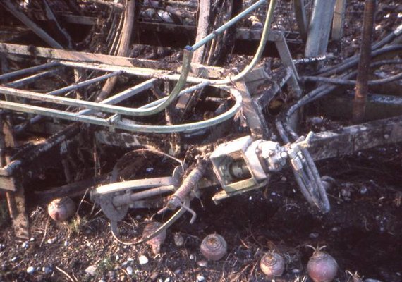 David W Thomas turnip harvester_Feb 1977_3.jpg
