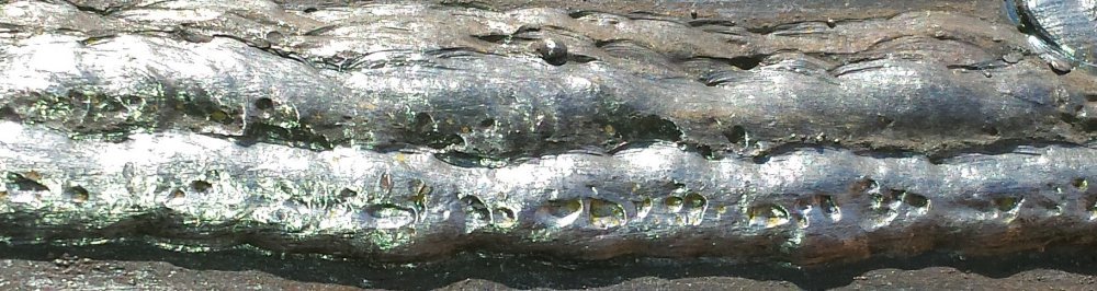 20160328_164218.jpg