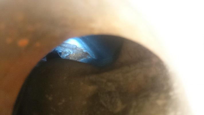 DSC_0428.JPG