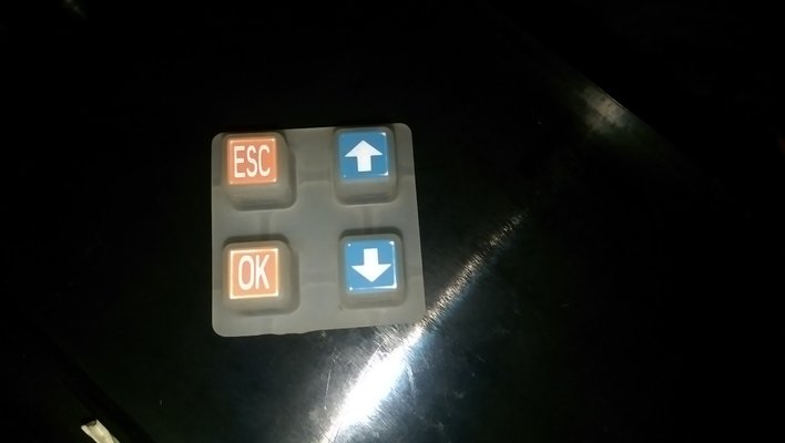IMAG9075.jpg