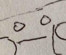 face.JPG