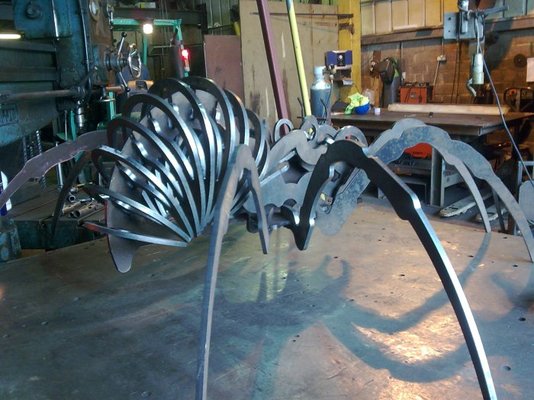 spider4.jpg