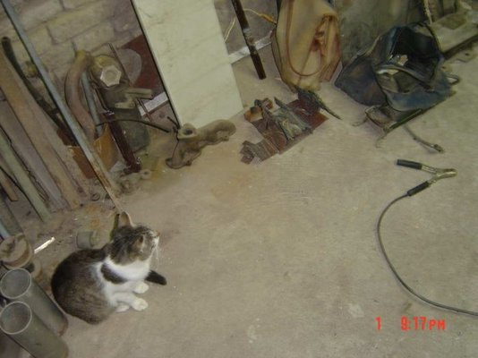 DSC00093.jpg