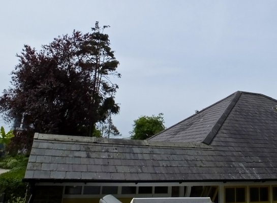 S0018314.jpg