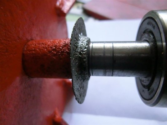 CIMG3658 (Medium).JPG
