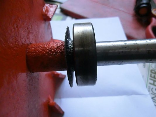 CIMG3657 (Medium).JPG