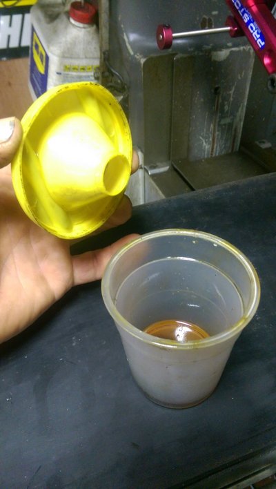 IMAG9747.jpg