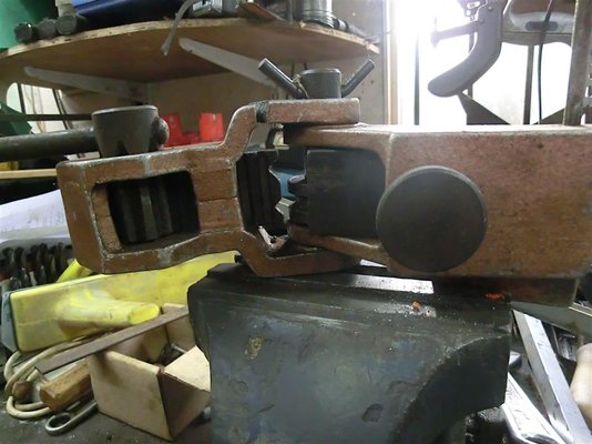 CIMG3930 (Medium).JPG